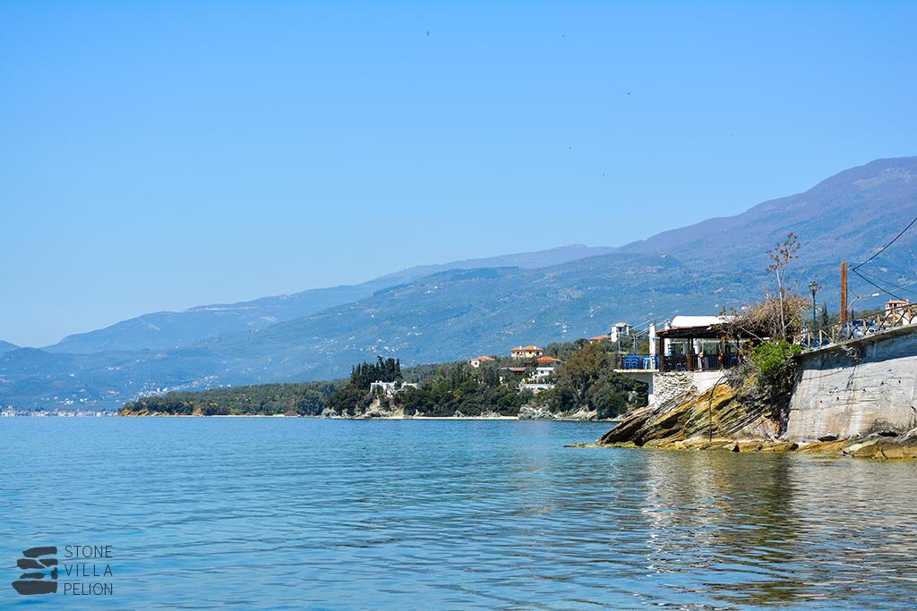 Stone Villa Pelion アフィソス エクステリア 写真