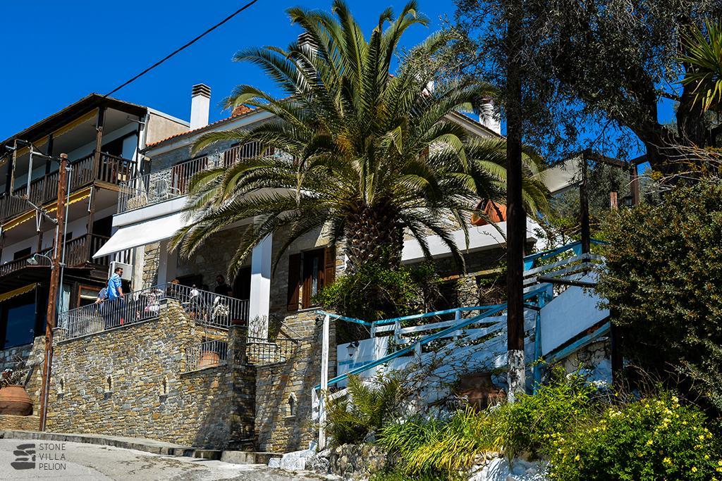 Stone Villa Pelion アフィソス エクステリア 写真